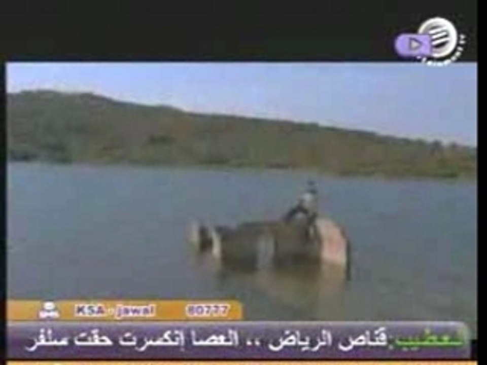 Basma syrian dAbke syrie syria