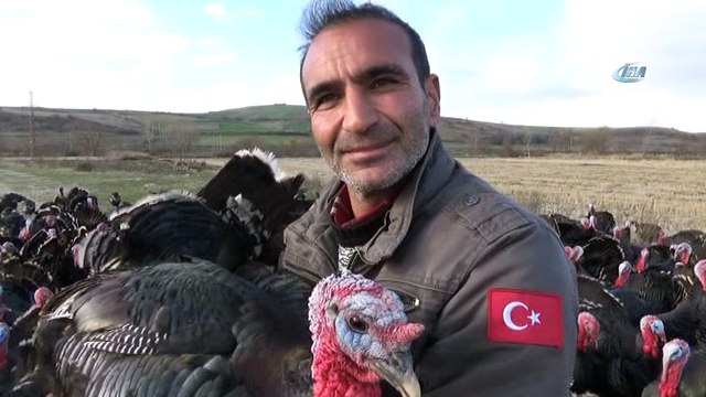 Hindi alacaklara tavsiyeler