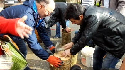 Mantar üreticileri kredi bekliyor