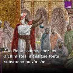 "Alcool", "mousson", "douane" : le voyage de 3 mots de l'arabe au français