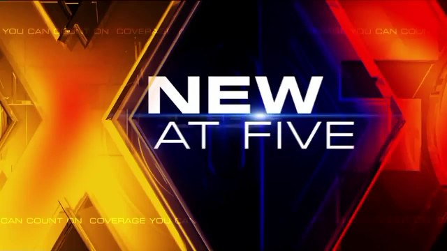 Homeowner Captures Brazen Package Thief on Surveillance Camera