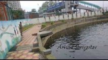 Arvind Shrivastav Diving in the Pond | Mumbai