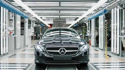 Joyful Anticipation: The pinnacle of anticipation (Bremen plant)