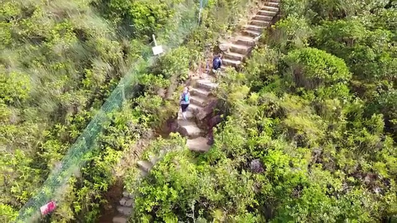 CBRE Hong Kong Completes 5th MoonTrekker in 2017 | CBRE