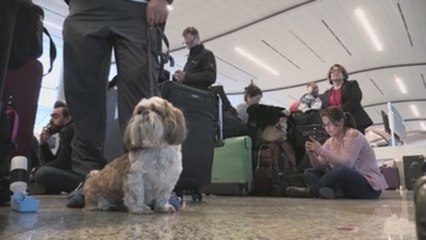 El aeropuerto de Atlanta recupera lentamente la normalidad