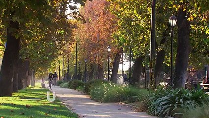 173 Tranquilo Papá_clip0