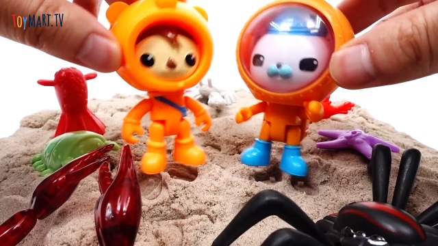 Octonauts and The Sea Monsters~! Go Octonauts Midnight Zone GUP A-LunRKnz2e_U