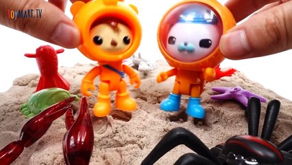 Octonauts and The Sea Monsters~! Go Octonauts Midnight Zone GUP A-LunRKnz2e_U