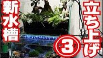 アクアリウム水草水槽立ち上げレイアウト熱帯魚　まとめ2016-p5FlsSIEgB0
