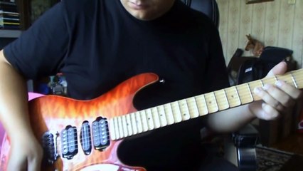 DCustomGuitar - Custom Made SUHR Guitar
