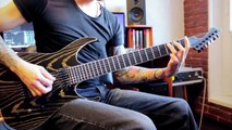 DCustomGuitar - Custom Guitars Sound and Guitar Review1
