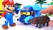 Super Mario's Wild Animal Farm~! Learn Animal Names With Kinetic Sand-UCxeD7yaFBM