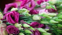 Big beautiful bouquet _ Inspired by Florists _ Sarah Dikker-WKG7CnGoujI