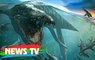 9 quái vật biển khổng lồ thời tiền sử đáng sợ nhất