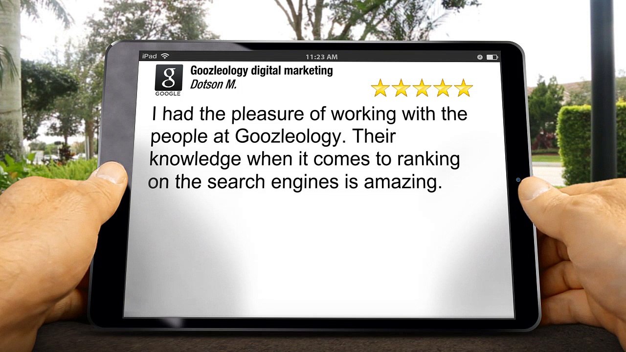 Goozleology SEO San Diego Outstanding 5 Star Review by Dotson Marketing