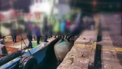 외국인 선원 조업 중 그물에 감겨 숨져 / YTN