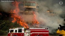 Weakening Winds Aid Battle Against Colossal California Wildfire