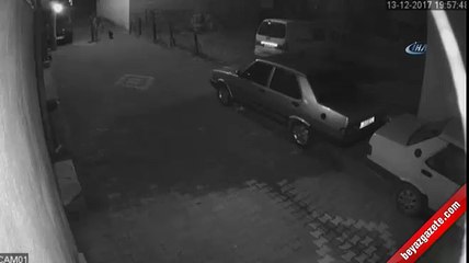 Vahşet! Sokak köpeğini silahla vurdular