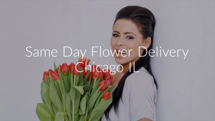 Call @ 773-649-5132 For Best Flower Delivery in Chicago IL