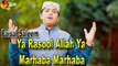 Faisal Saleem - | Ya Rasool Allah Ya Marhaba Marhaba | Naat | HD Video