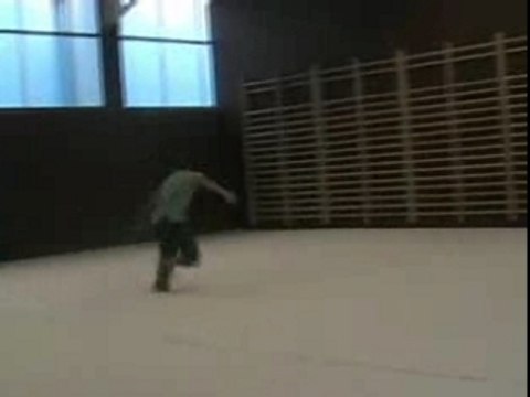 TRICKING Flow Sampler 2