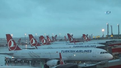 Hava Trafiğine Kuş Engeli