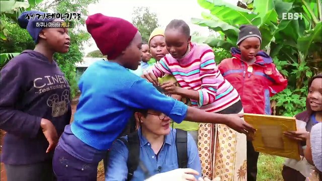 세계테마기행 - 하쿠나 마타타 케냐 2부- 빛의 산을 찾아서_#002