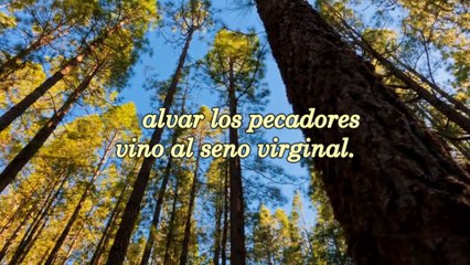 079 Se oye un canto en alta esfera