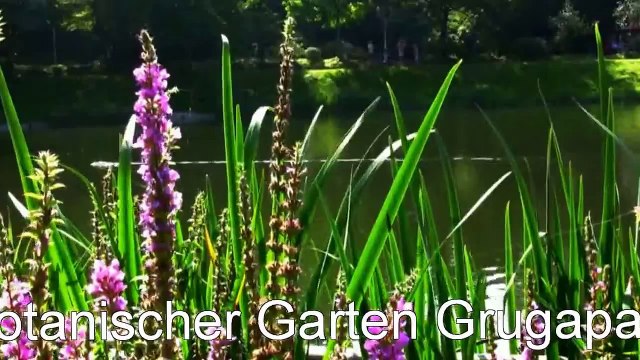 otanischer Garten Grugapark, Essen tourism_