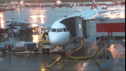 Atatürk Havalimanı'nda Üç Uçağa Kuş Çarptı