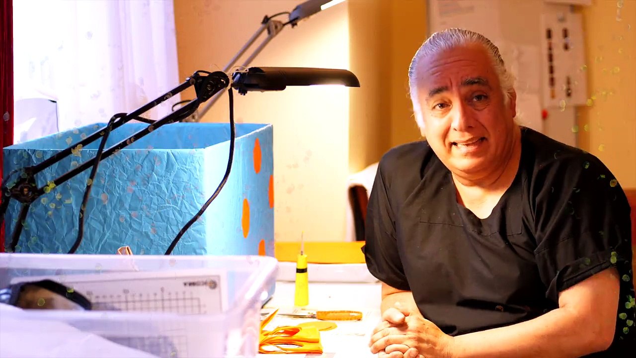 Meet the artist: mr. lo