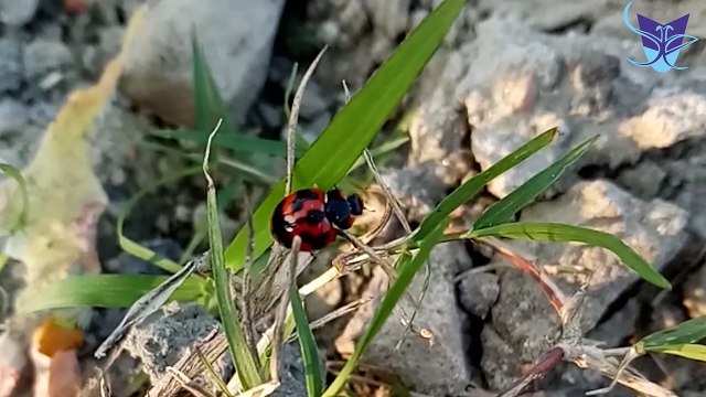 A Glimpse at Office Space for Rent in Salt Lake Sector V