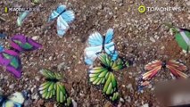 Made in China: pengunjung Cina merasa dibohongi dengan pameran kupu-kupu palsu - TomoNews