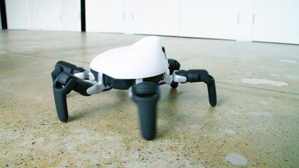 The Year Robots Went Everywhere