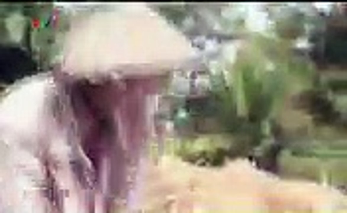 video 10