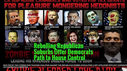 Rebelling Republican Suburbs Offer Democrats Path to House Control