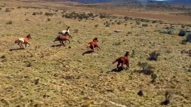 baahdi ka waqia Enjoy our collection of favorite Islamic Inspirational and Motivational Stories, which will empower and encourage you, and provide comfort, surprise, inspiration and show how special the gift of life can be. ... A true Muslim