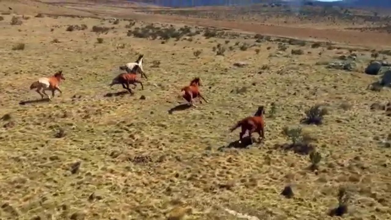 baahdi ka waqia              Enjoy our collection of favorite Islamic Inspirational and Motivational Stories, which will empower and encourage you, and provide comfort, surprise, inspiration and show how special the gift of life can be. ... A true Muslim