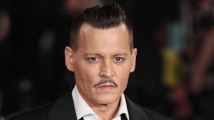 Johnny Depp Sued by His Lawyers