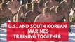 US and South Korean marines get together to train for winter warfare