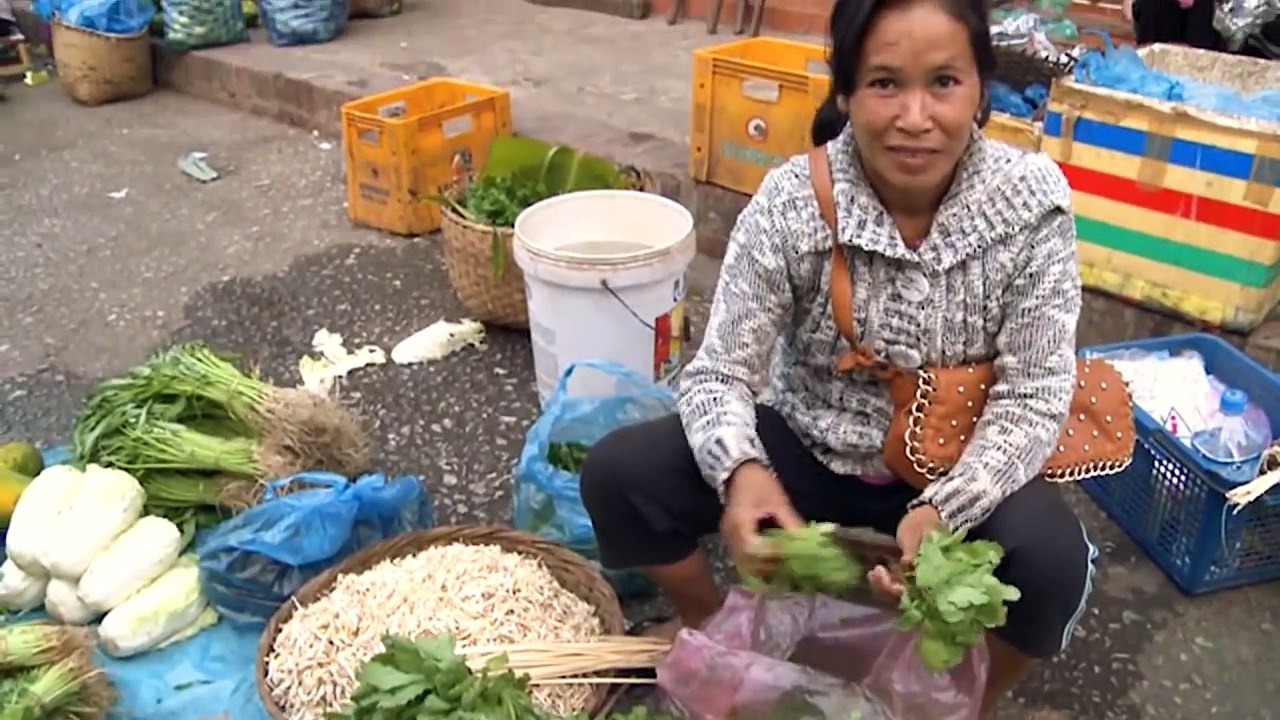 aos &amp_ Cambodia tours 2016 (HD)_