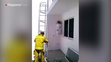 Bombera mexicana se convirtió en blanco de burlas al tratar de rescatar a un gato