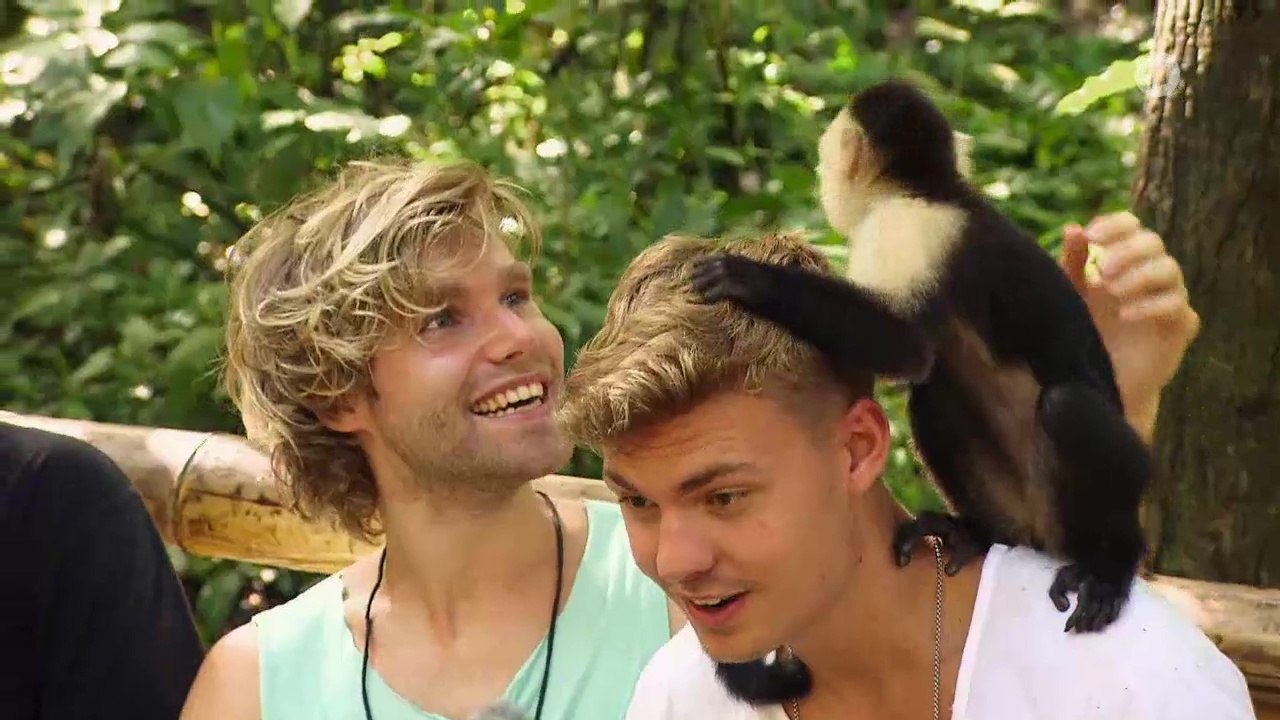 Verrückt nach Meer - Feuerherz Spezial: Die Doku-Soap (Folge 4/8) (2017)