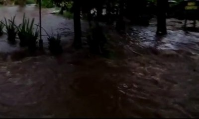 Video Amatir: Sungai Nariban di Banyumas Meluap