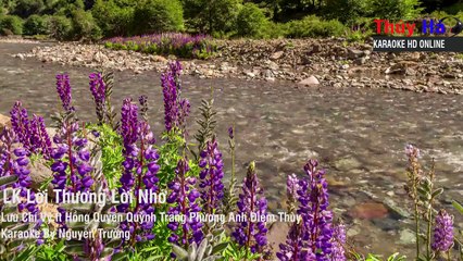 [ Karaoke Nhạc Sống ] Liên Khúc Lời Thương Lời Nhớ