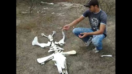 Pocinhos PB na Zueira parte 2