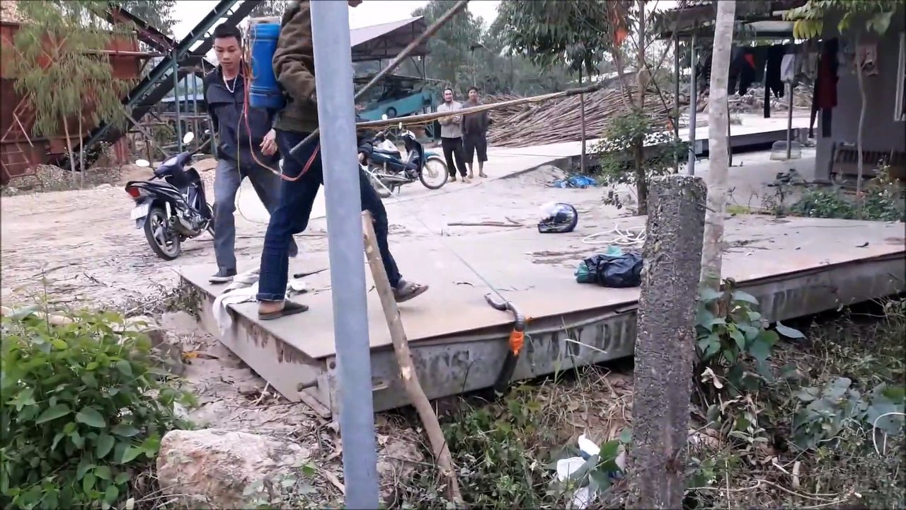 decouverte dun serpent geant au vietnam