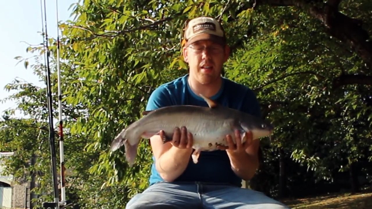 Catfishing from the bank - Fishing from shore - Fishing from bank