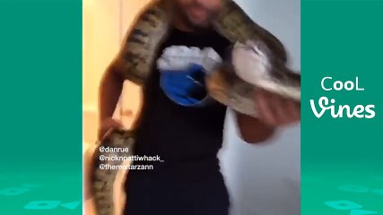 Beyond Vine compilation December 2017 (Part 1) Funny Vines & Instagram Videos 2017.CUT.07'58-08'33