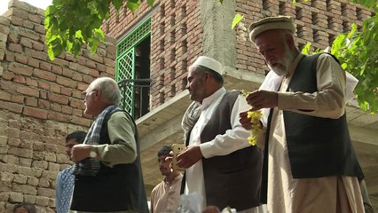 Afghan raisin houses get a facelift to boost productivity